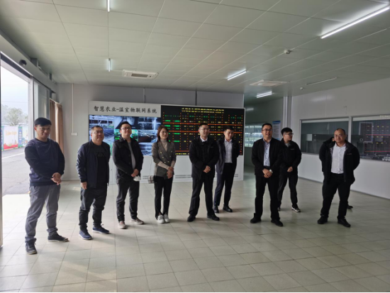 精准助力全面帮扶,梦工场赴乐昌市调研考察