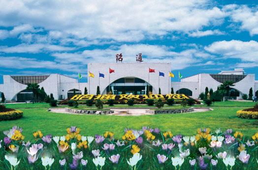梦工场CEO黄丫丫受邀赴云南省昭通市参与对口扶贫工作